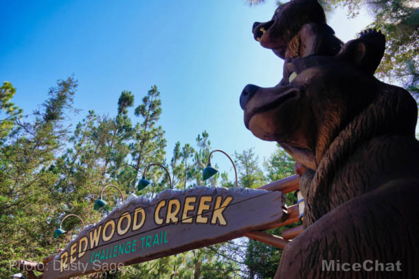 , Disneyland Update – A Most Unusual Birthday
