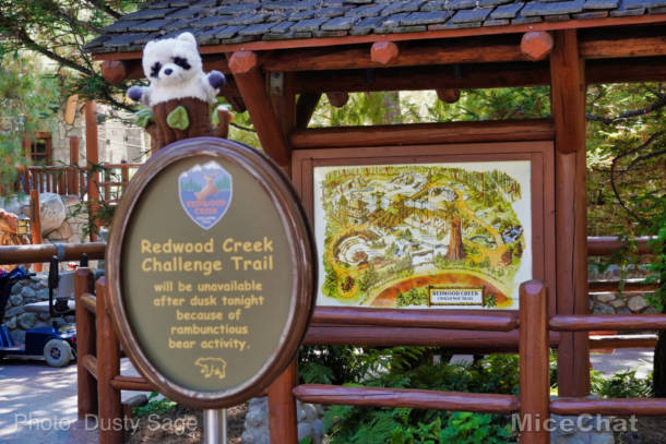 , Disneyland  Update – A Most Unusual Birthday