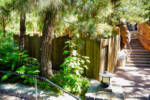 Disneyland-7-15-DSC01079