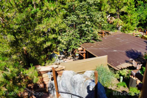 , Disneyland  Update – A Most Unusual Birthday