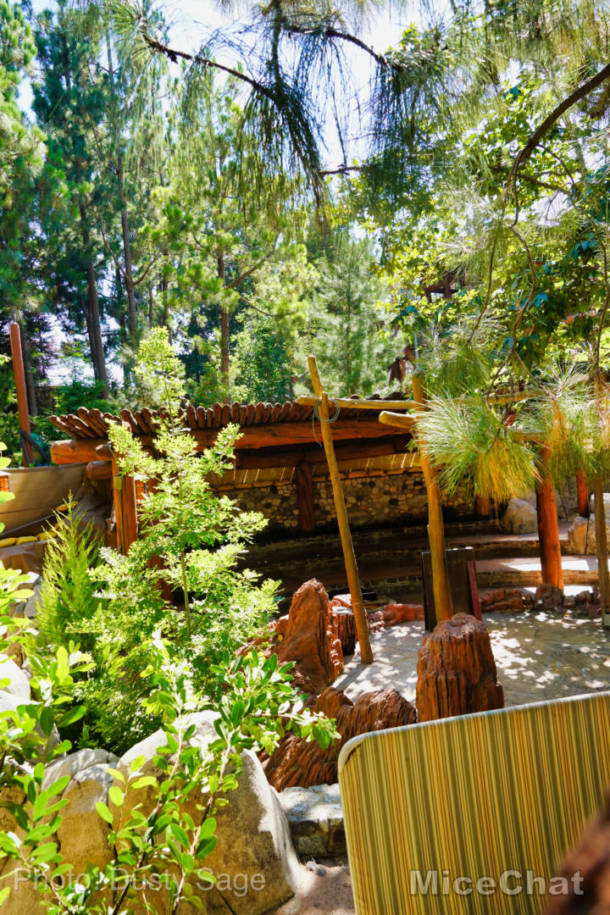 , Disneyland  Update – A Most Unusual Birthday