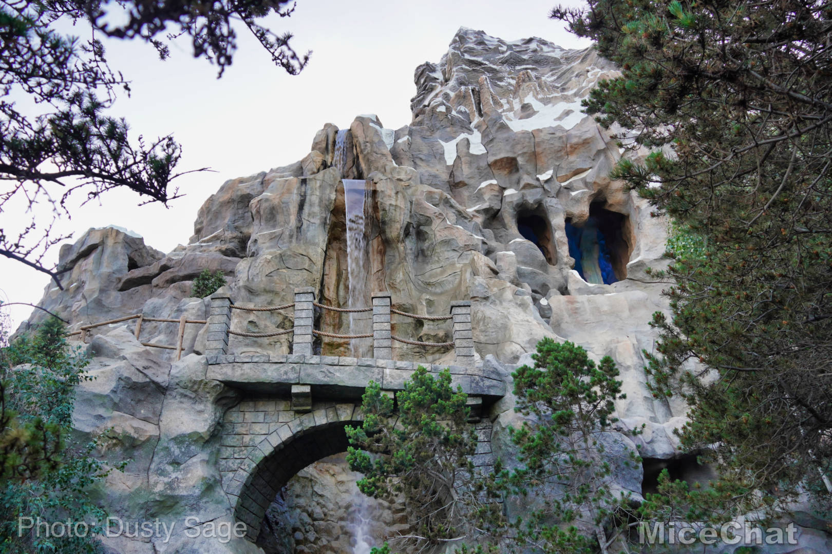 , Disneyland Resort Update: The California Shake, Shake, Shake