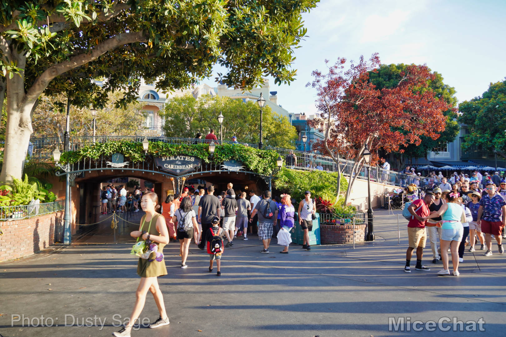 , Disneyland Resort Update: The California Shake, Shake, Shake