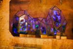 Disneyland-DSC01351