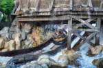 Disneyland-Grizzly-River-Drop