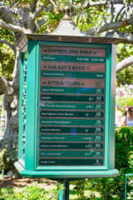 Disneyland-Heat-Crowds-2