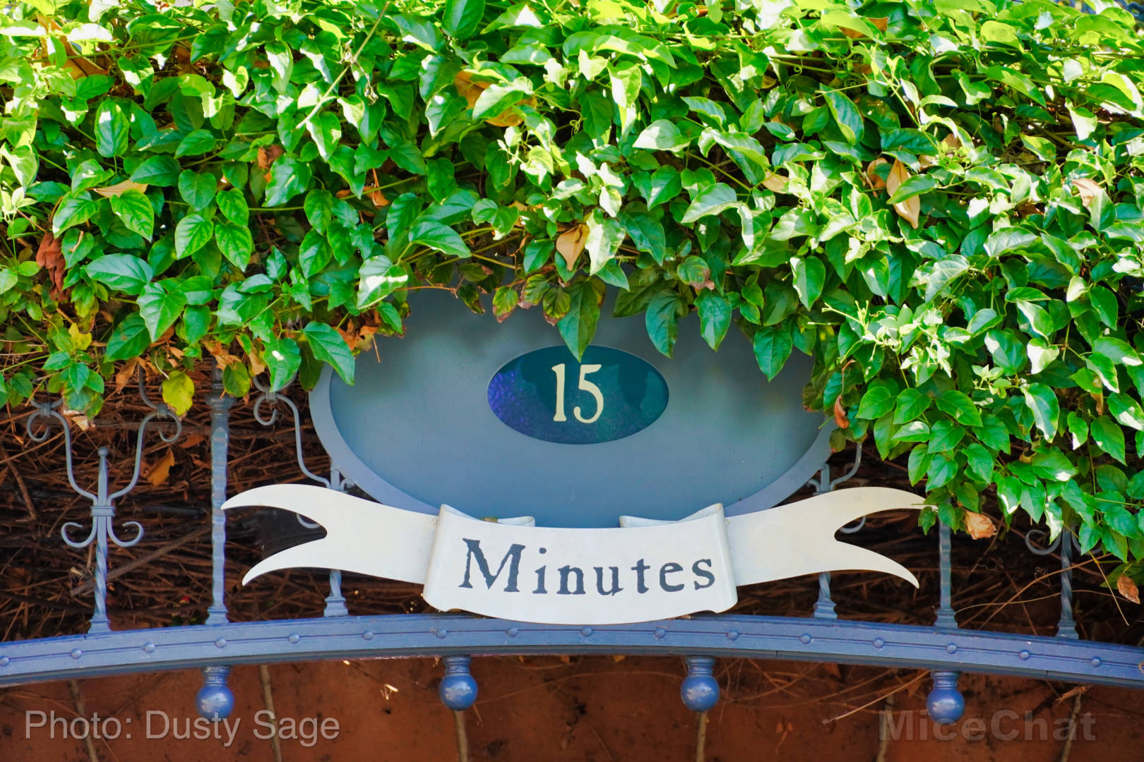 , Disneyland Update – Some Things Hot and Some Things Not