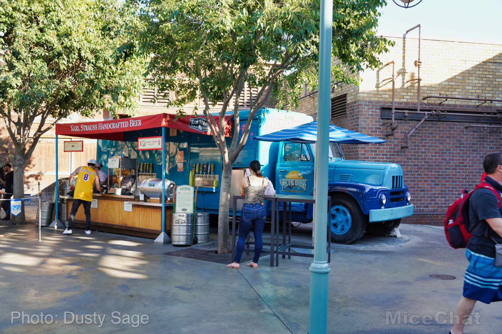 , Disneyland Update – Some Things Hot and Some Things Not
