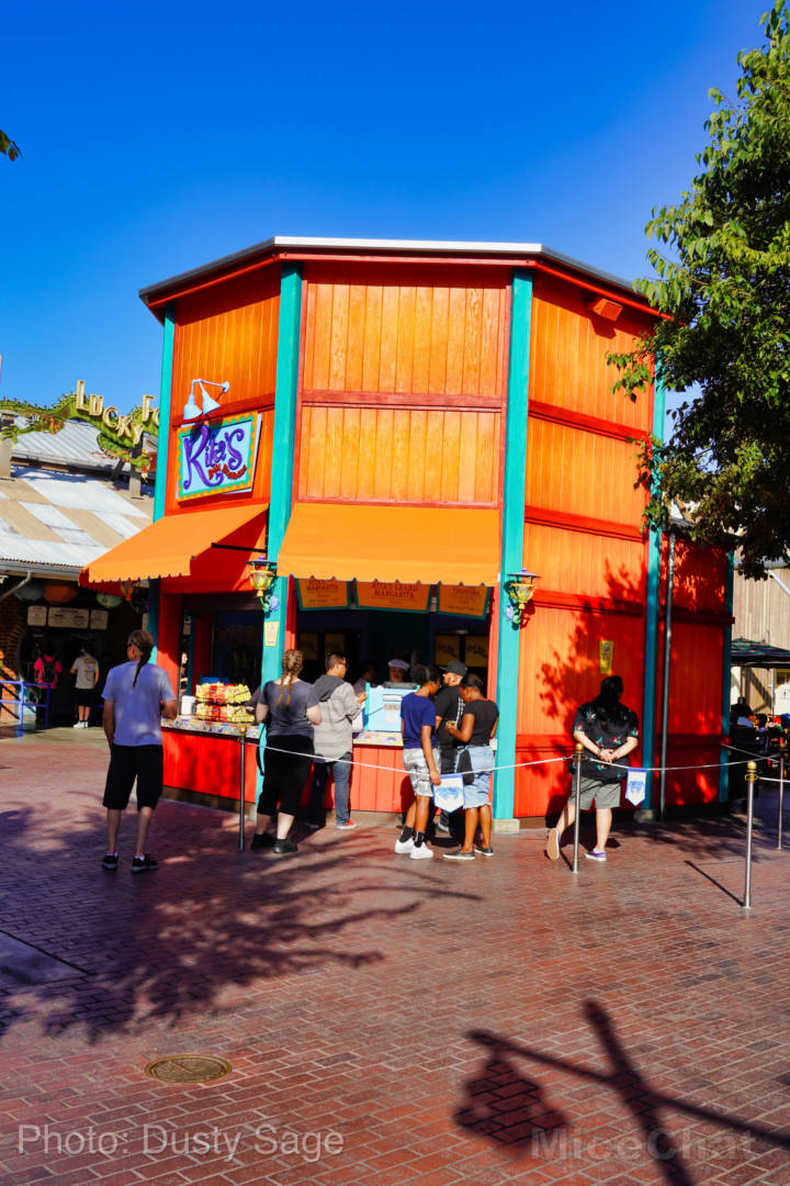 , Disneyland Update – Some Things Hot and Some Things Not