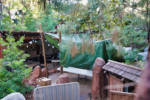 Disneyland-Redwood-Creek-Construction-2
