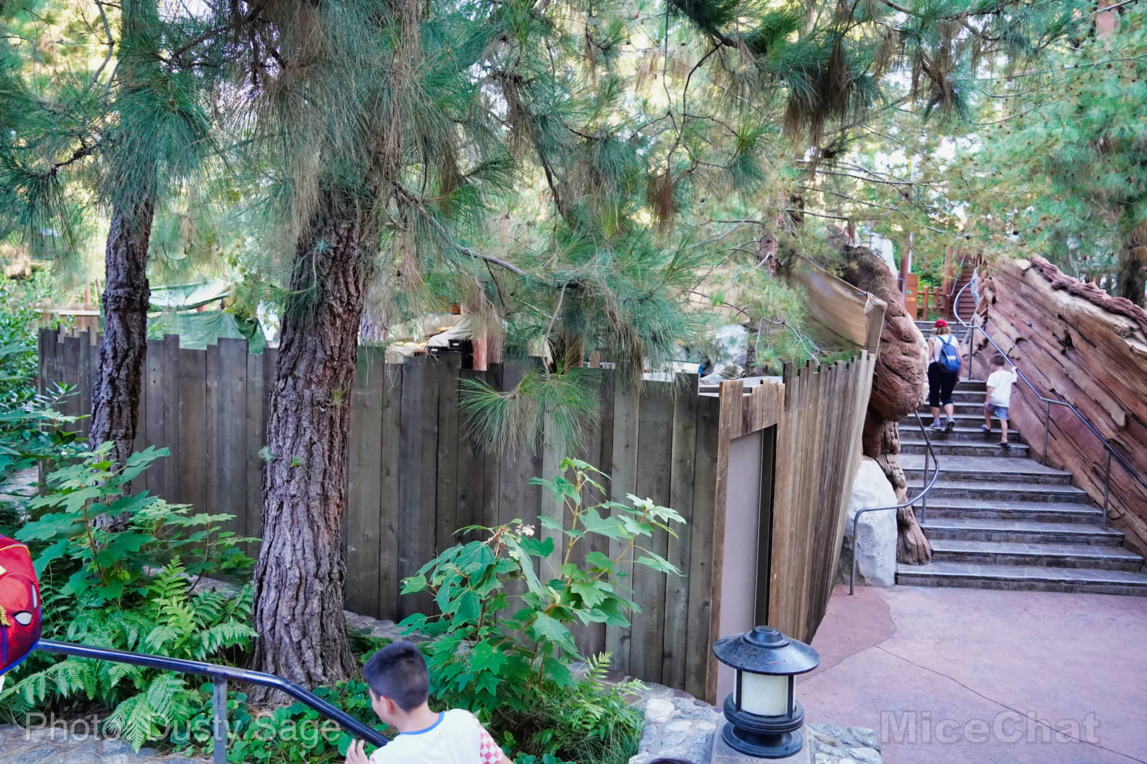 , Disneyland Update – Some Things Hot and Some Things Not