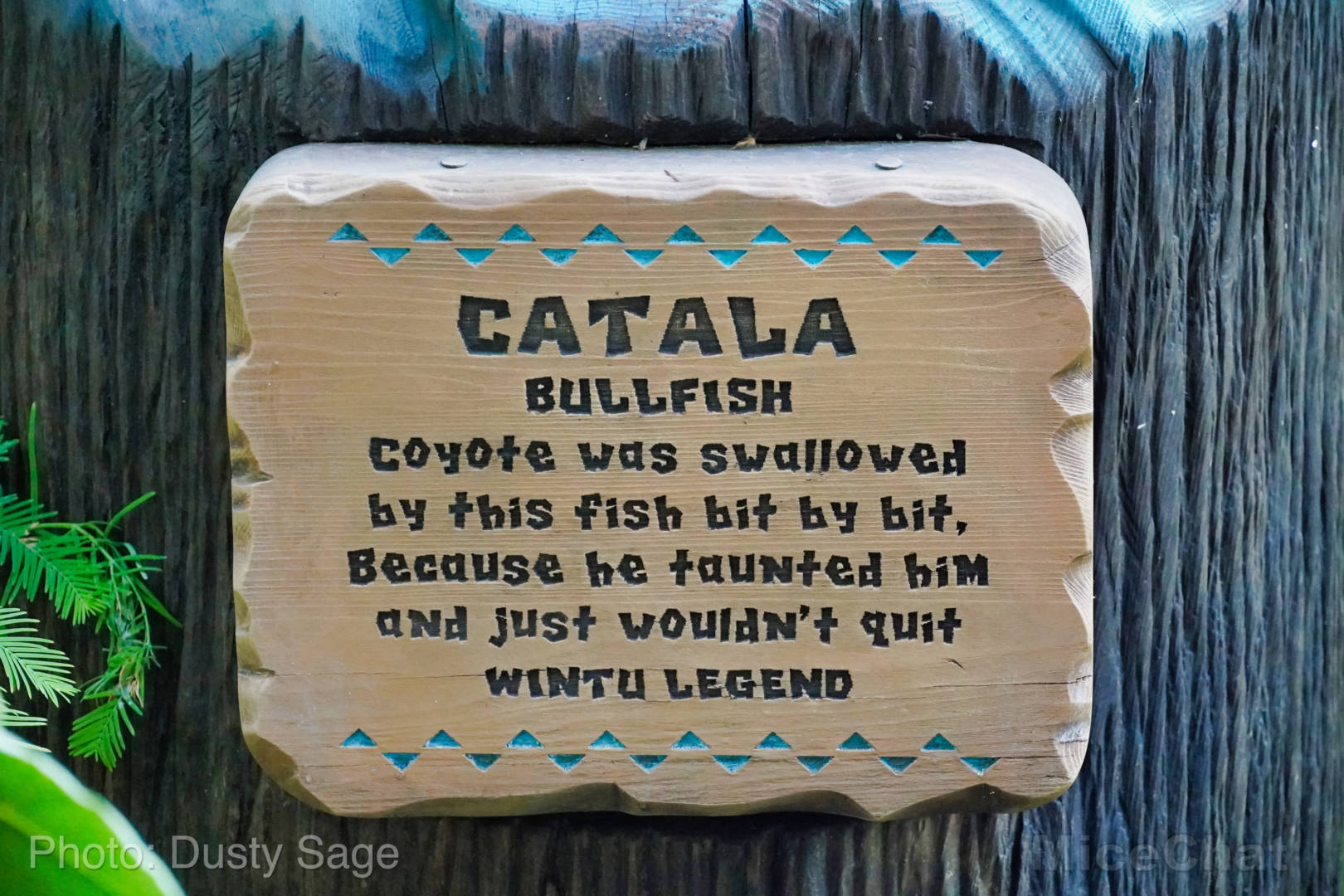 , Disneyland Update – Some Things Hot and Some Things Not