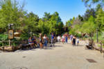 Disneyland-Star-Wars-Land-Entry