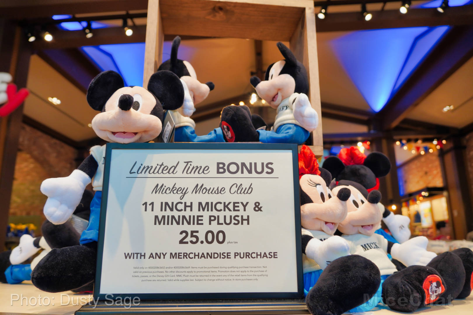 , Disneyland Update – Some Things Hot and Some Things Not
