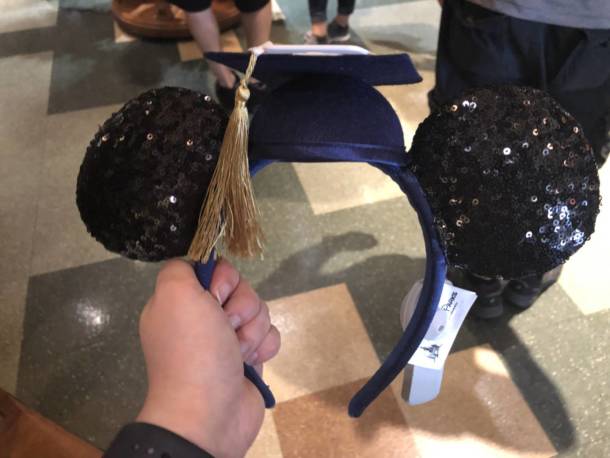 Ear Headbands, The Essential Guide to Disneyland Ear Headbands