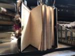 Universal-Studios-Wizarding-World-Monster-Book-of-Monsters-journal-open