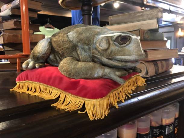 , Top Ten Universal Studios Hollywood Souvenirs Worth Saving For