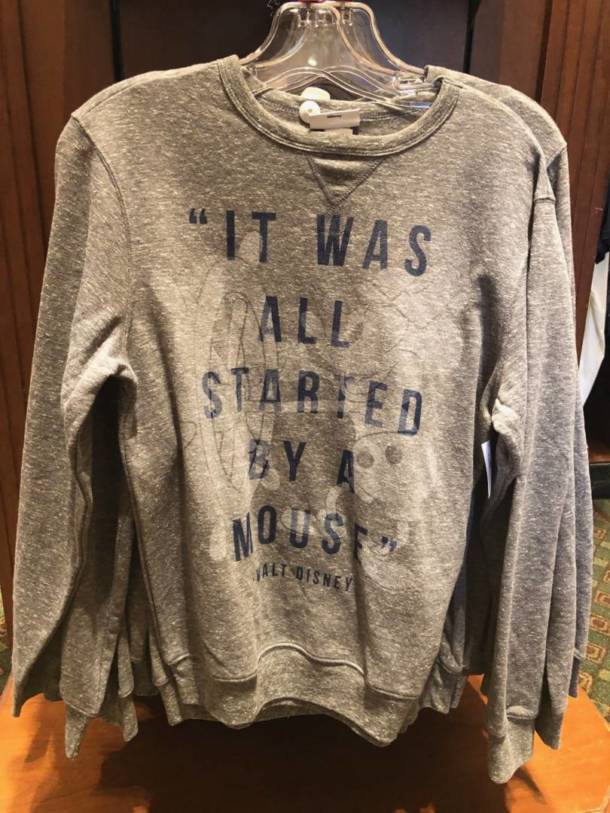 Splash Mountain, Disneyland Merchandise Update: Find Your Laughing Place