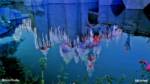 disneyland-Christmas-Castle-Night-Reflection-610×343