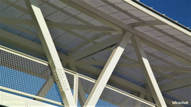 , Disneyland Resort Update: New Boo & Electric Too