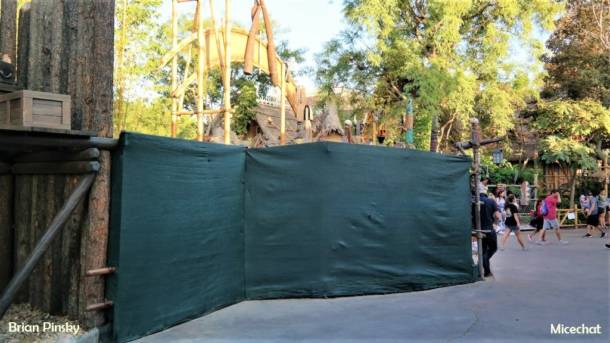 , Disneyland Resort Update: New Boo & Electric Too