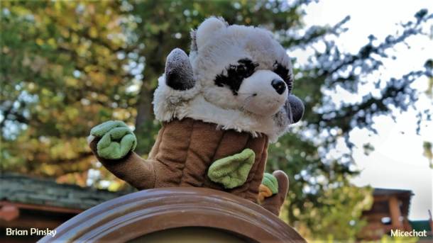 , Disneyland Resort Update: New Boo & Electric Too