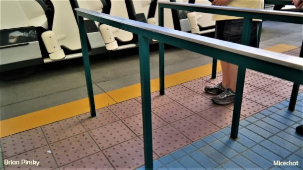 , Disneyland Update – Matterhorn Mischief, Train Trouble, and Haunted Happenings