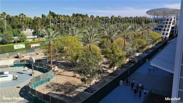 , Disneyland Update: Pumpkins, Crowds & Bees Buzz Into Disneyland