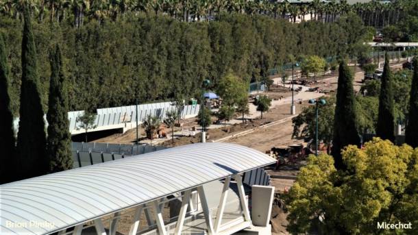 , Disneyland Update: Pumpkins, Crowds & Bees Buzz Into Disneyland