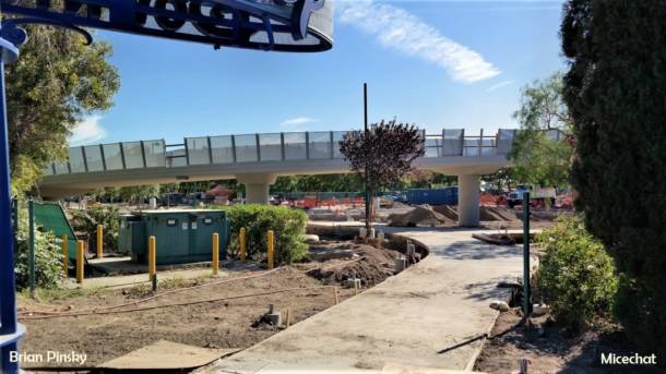 , Disneyland Update: Pumpkins, Crowds & Bees Buzz Into Disneyland