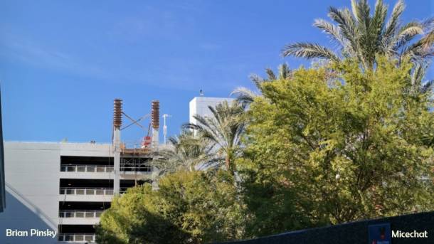 , Disneyland Update: Pumpkins, Crowds & Bees Buzz Into Disneyland