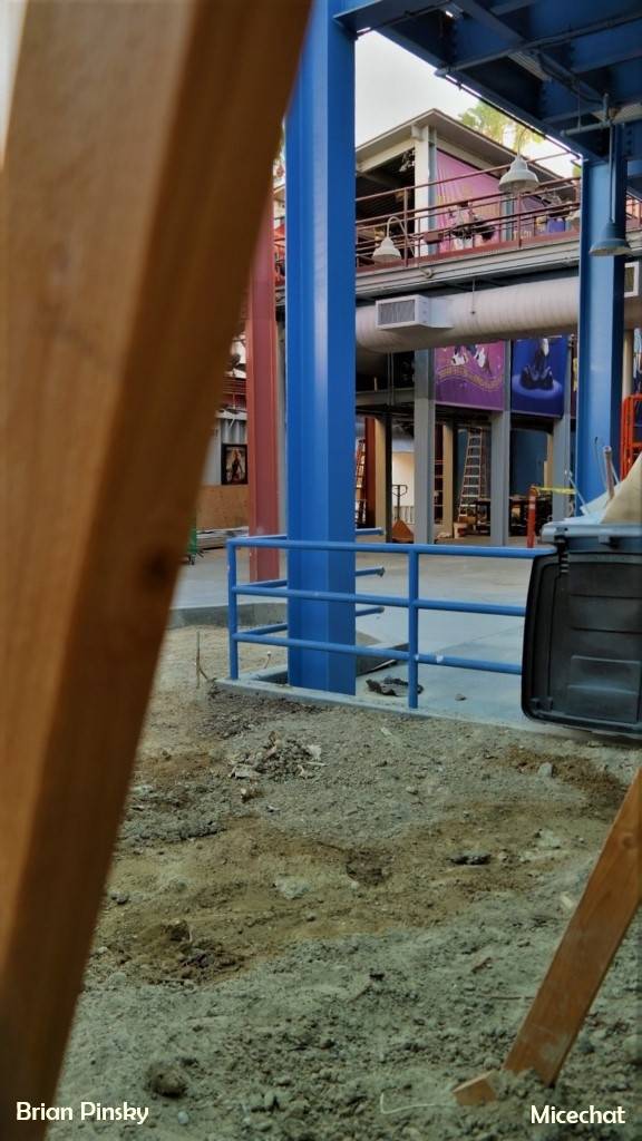 , Disneyland Update: Pumpkins, Crowds & Bees Buzz Into Disneyland