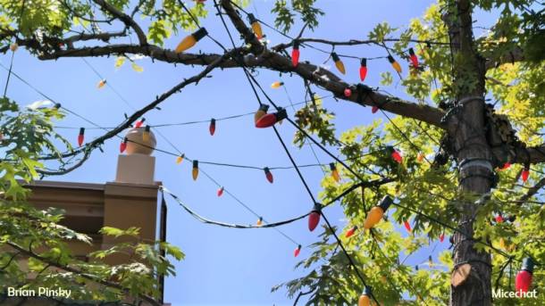 , Disneyland Resort Update: New Magic – Hold the Fries