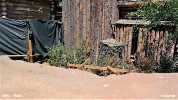 , Disneyland Resort Update: New Magic – Hold the Fries