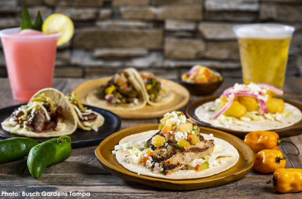 , Busch Gardens Tampa’s Bier Fest Returns for 2nd Year
