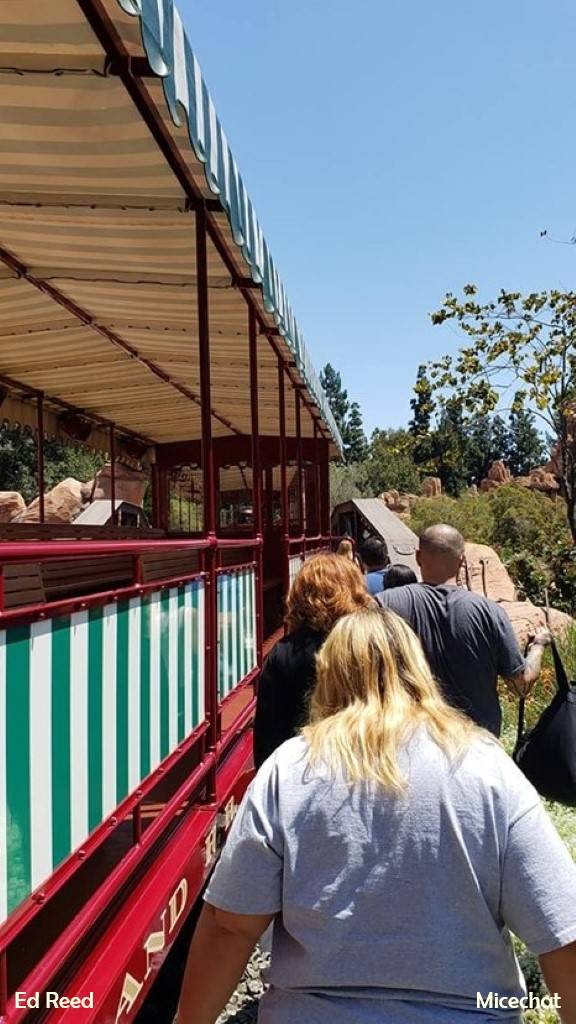 , Disneyland Update – Matterhorn Mischief, Train Trouble, and Haunted Happenings