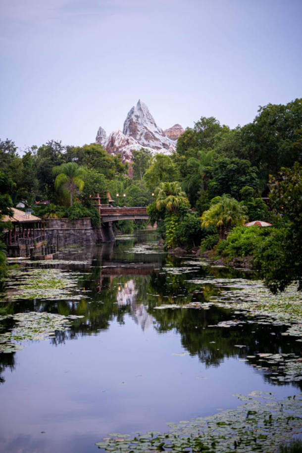 , Dateline Disney World: Hollywood Studios and Animal Kingdom News