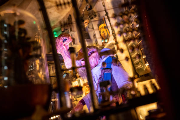 , Star Wars Galaxy’s Edge Opening Event at Walt Disney World