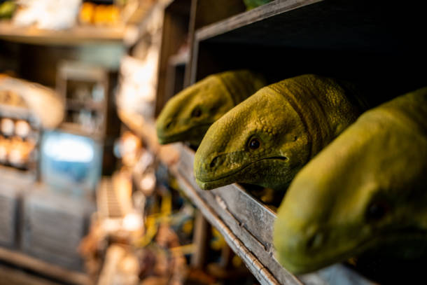 , Star Wars Galaxy’s Edge Opening Event at Walt Disney World