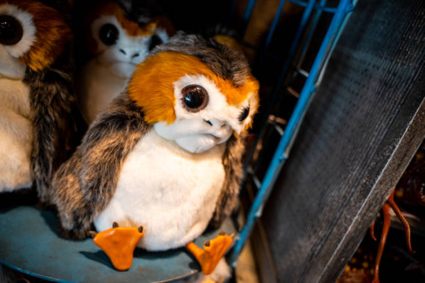 , Star Wars Galaxy’s Edge Opening Event at Walt Disney World