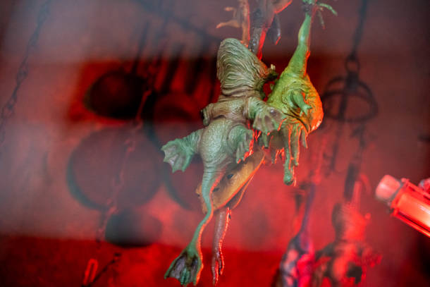 , Star Wars Galaxy’s Edge Opening Event at Walt Disney World
