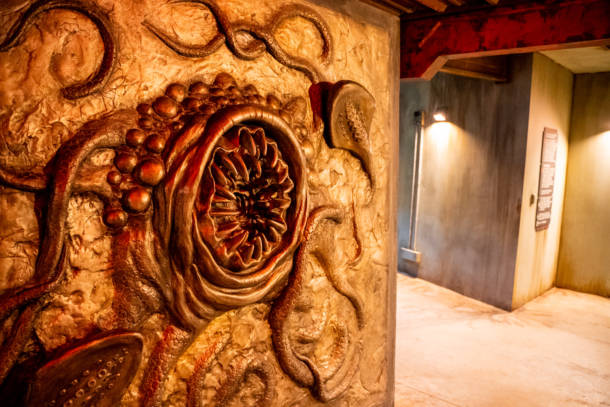 , Star Wars Galaxy’s Edge Opening Event at Walt Disney World