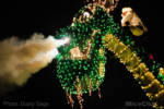 Disneyland-Electrical-Parade-Petes-Dragon-8