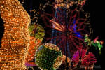 Disneyland-Electrical-Parade-Pinocchio-4