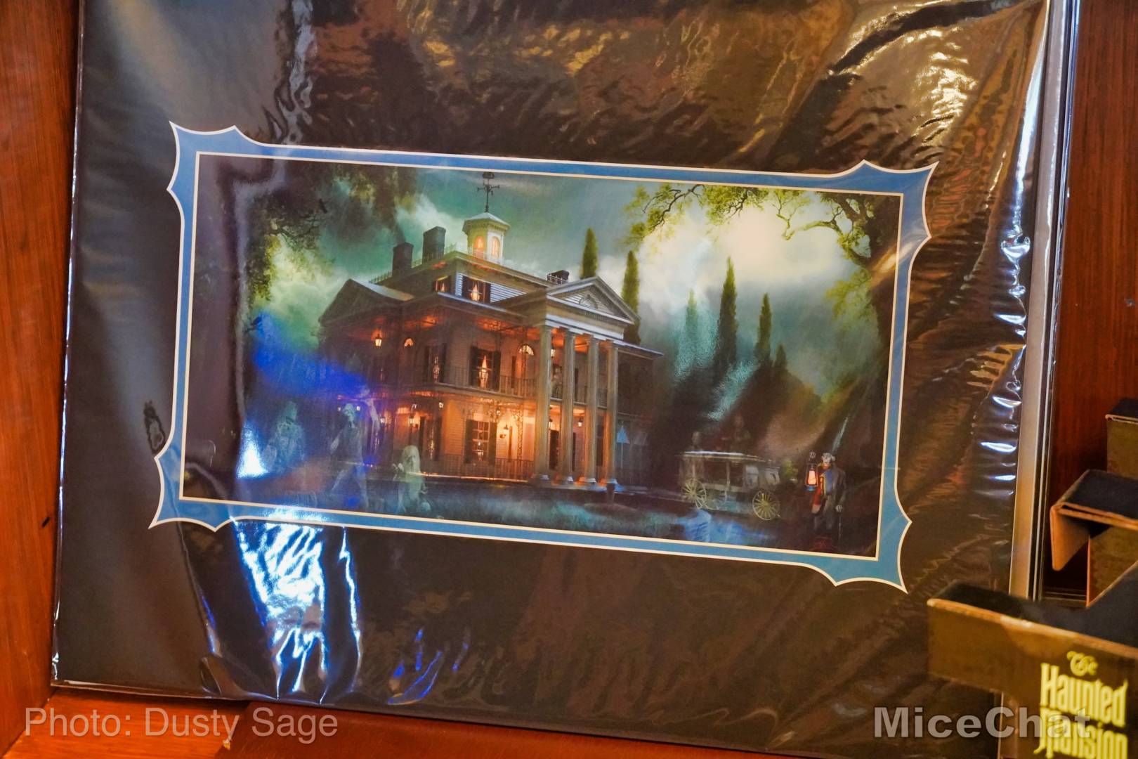 , Disneyland Update – Matterhorn Mischief, Train Trouble, and Haunted Happenings