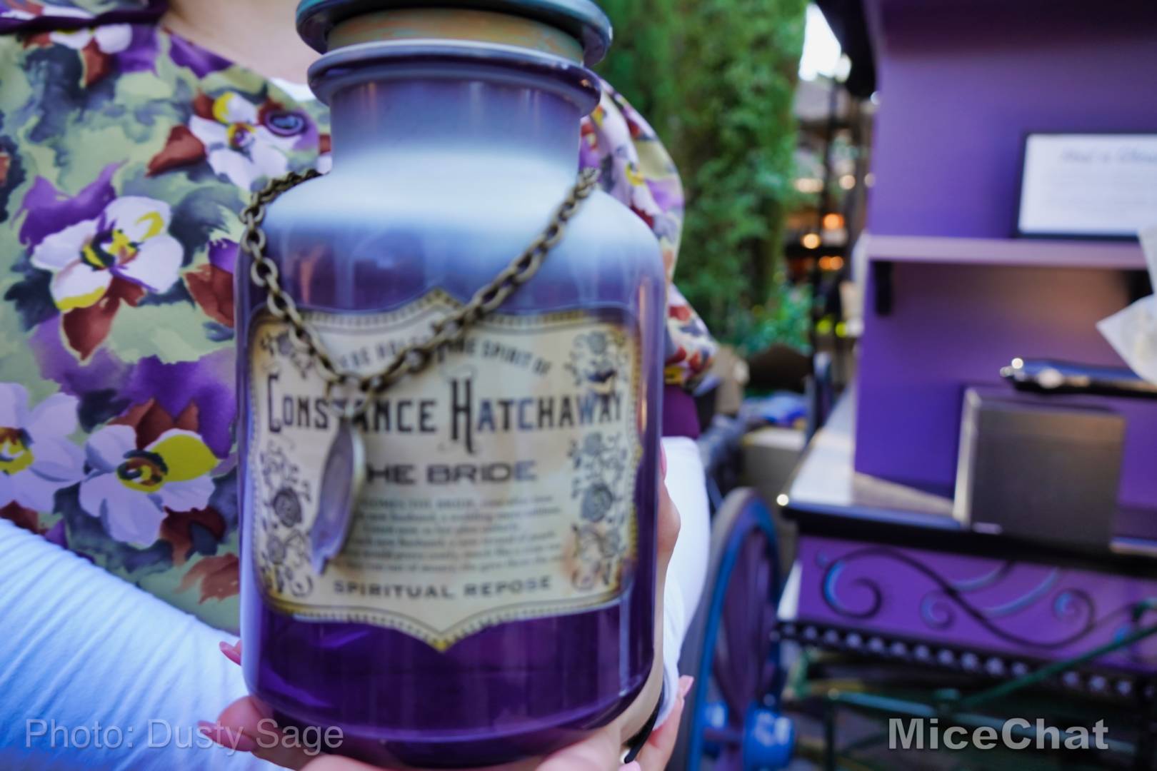 , Disneyland Update – Matterhorn Mischief, Train Trouble, and Haunted Happenings