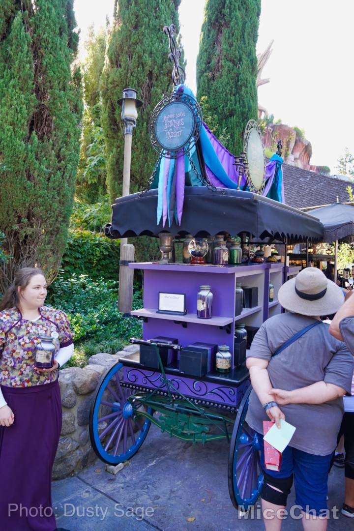 , Disneyland Update – Matterhorn Mischief, Train Trouble, and Haunted Happenings
