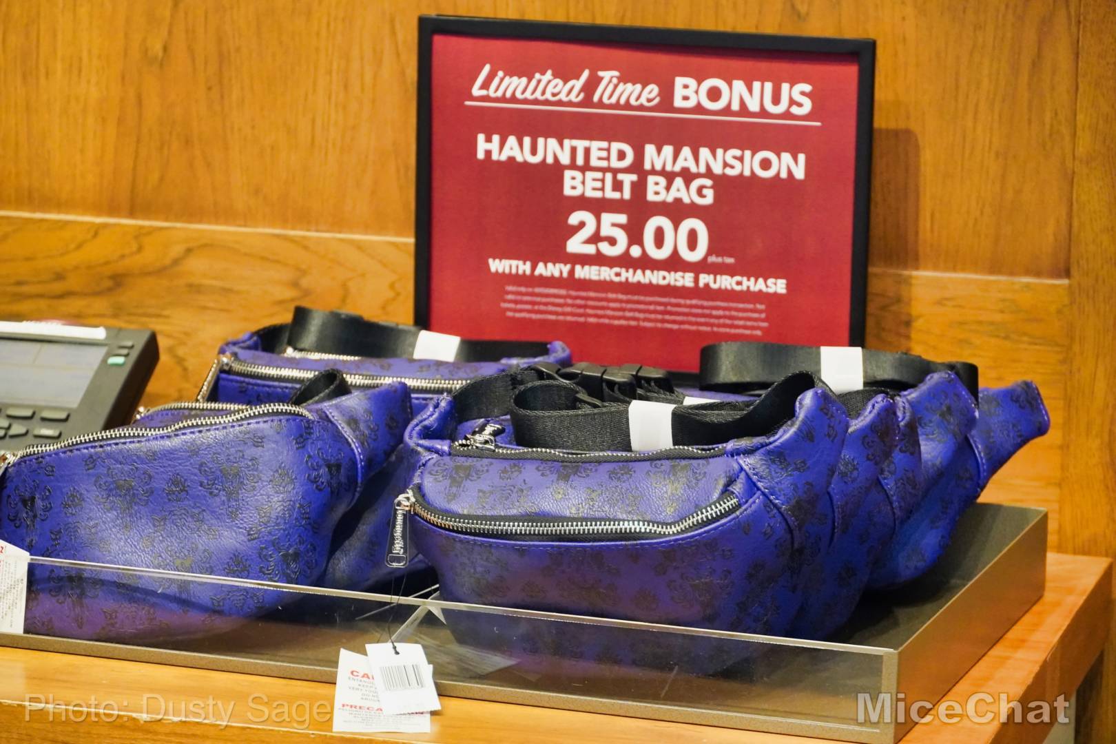 , Disneyland Update – Matterhorn Mischief, Train Trouble, and Haunted Happenings