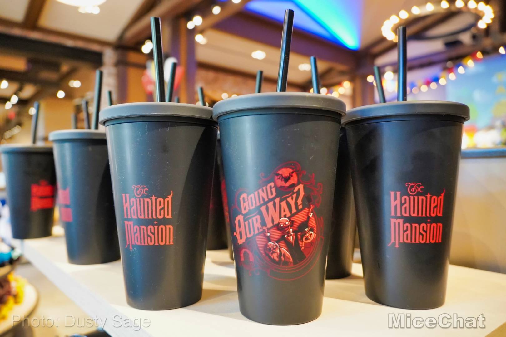 , Disneyland Update – Matterhorn Mischief, Train Trouble, and Haunted Happenings