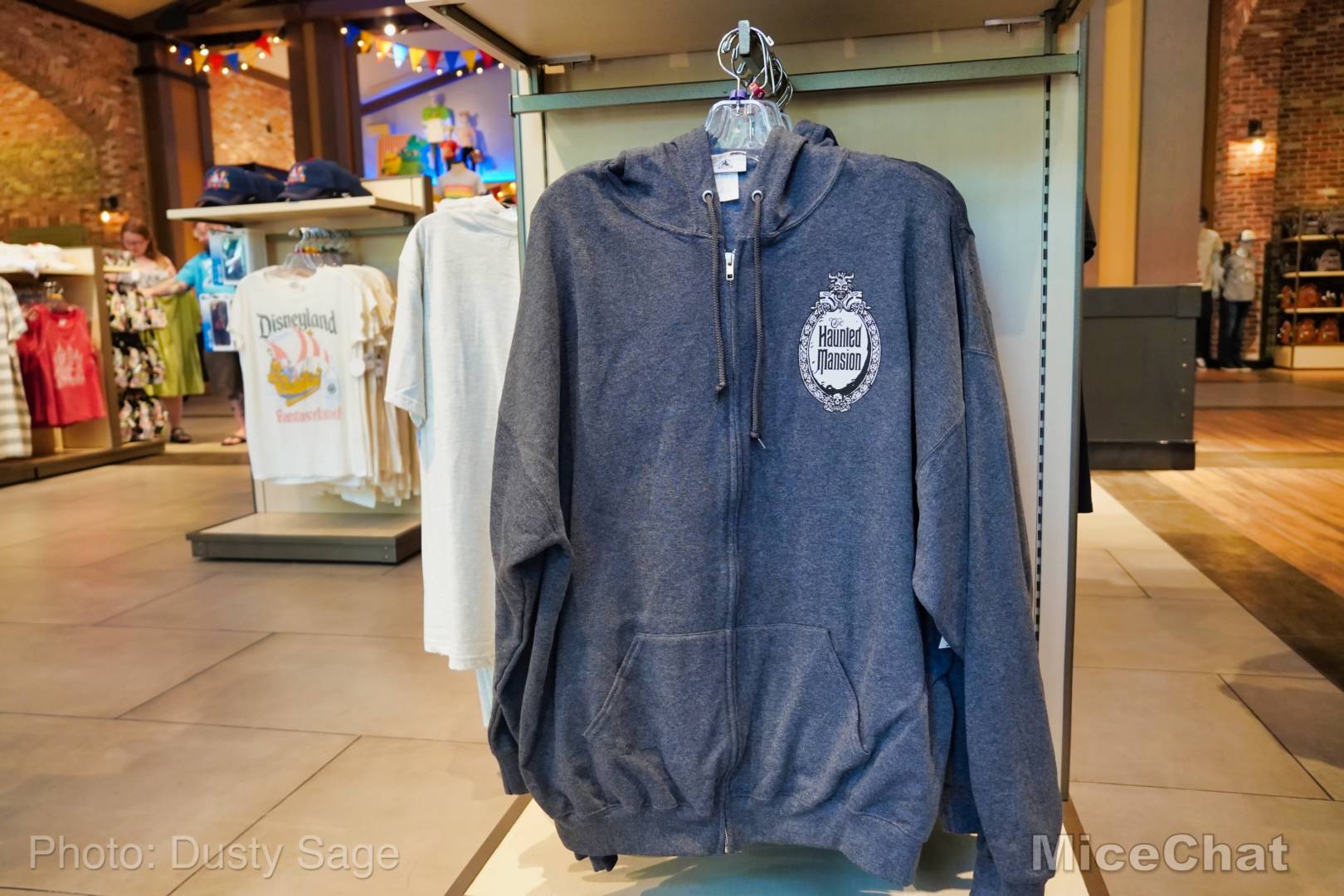 , Disneyland Update – Matterhorn Mischief, Train Trouble, and Haunted Happenings